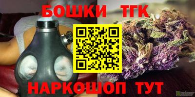стафф Будённовск