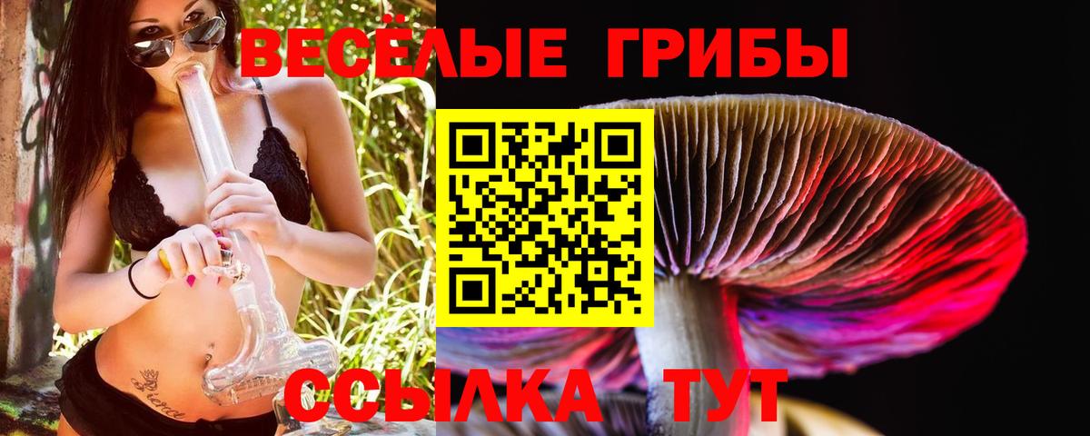 Галлюциногенные грибы Cubensis Реж