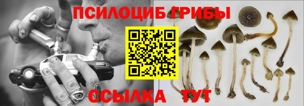 Реж  Псилоцибиновые грибы мухоморы  Вход с VPN  Галлюциногенные грибы мицелий 